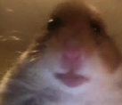 Pekominator