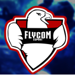 Flycom